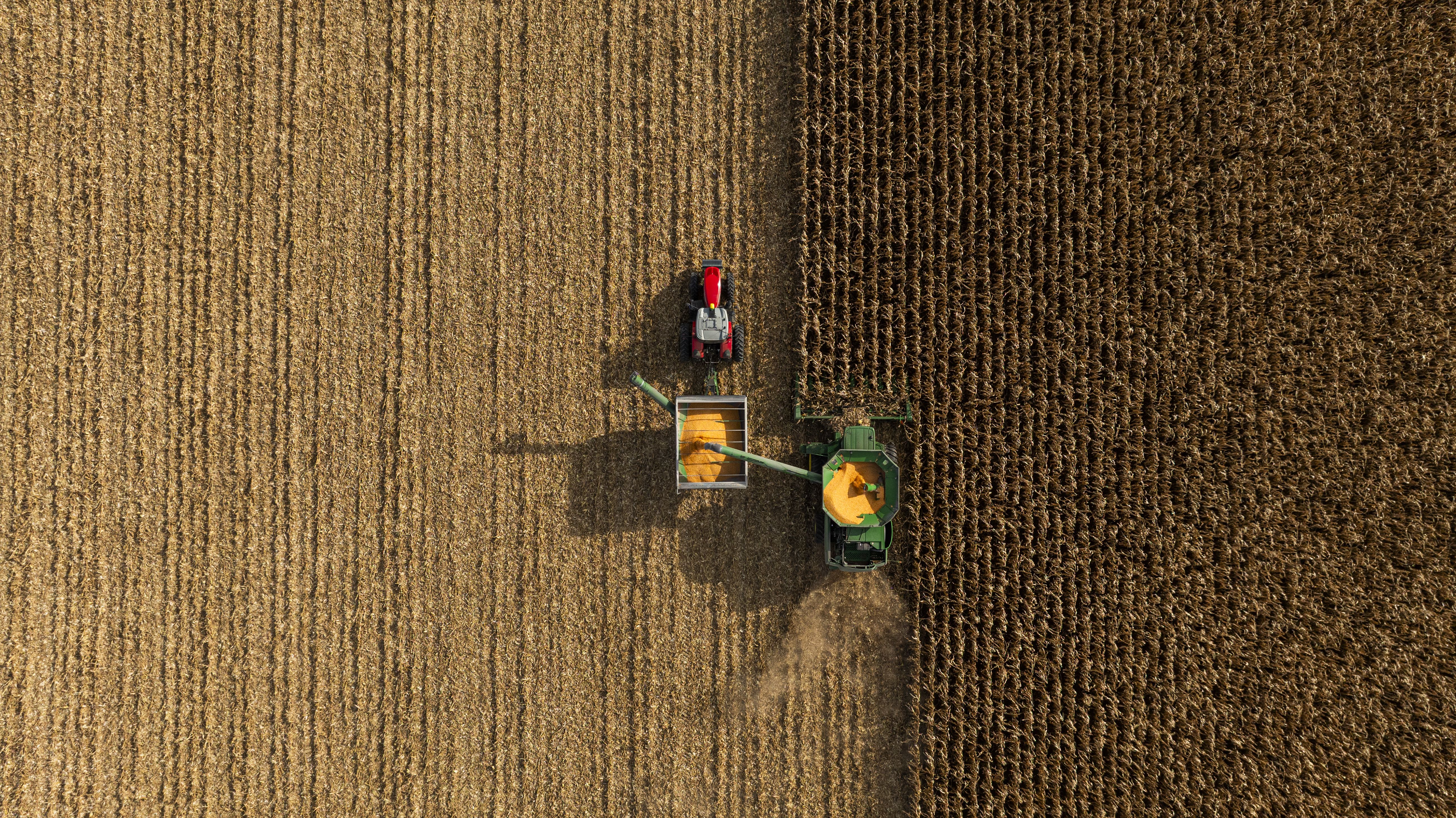 A Year in Chatham-Kent Tourism — Tourism campaign — video production Richmond Hill