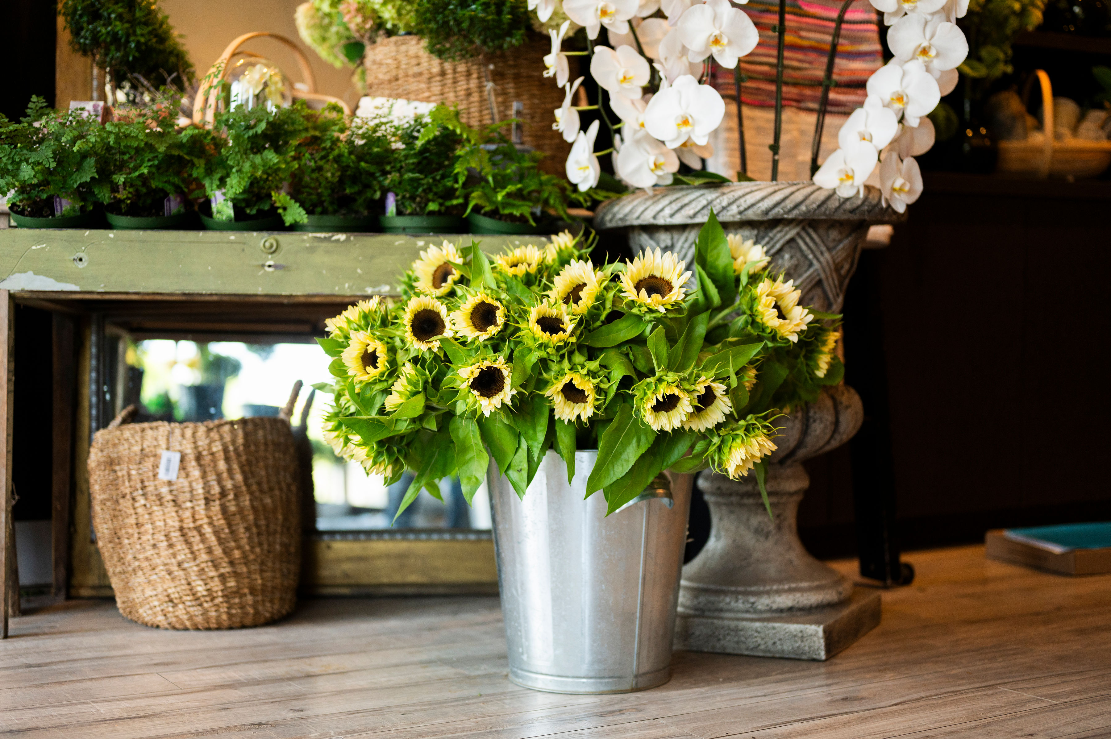 A rustic arrangement of vibrant garden plants and sunflowers in a galvanized bucket
