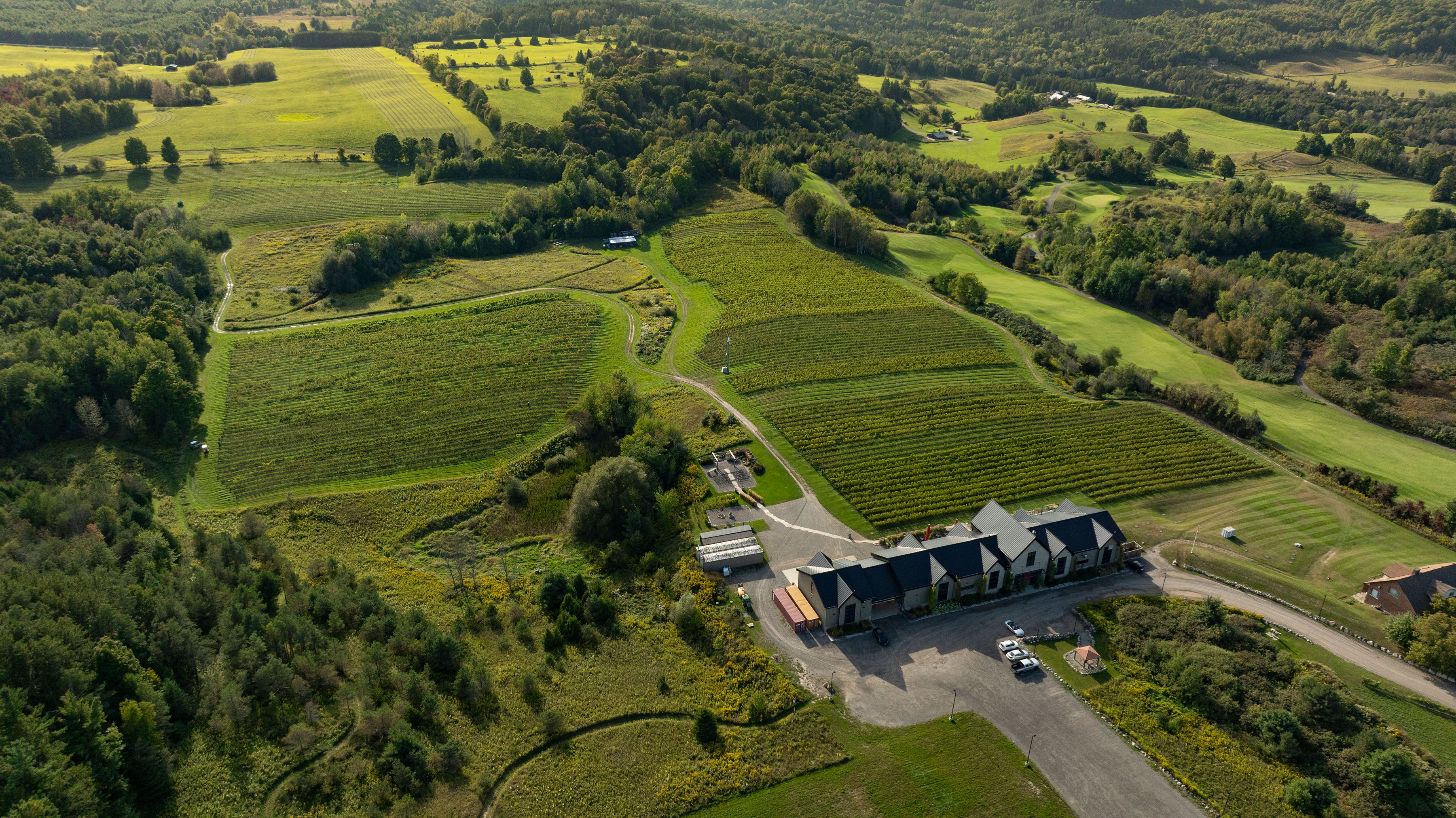 Aerial view of Dufferin County winery with vineyards, rolling hills, and lush green forests