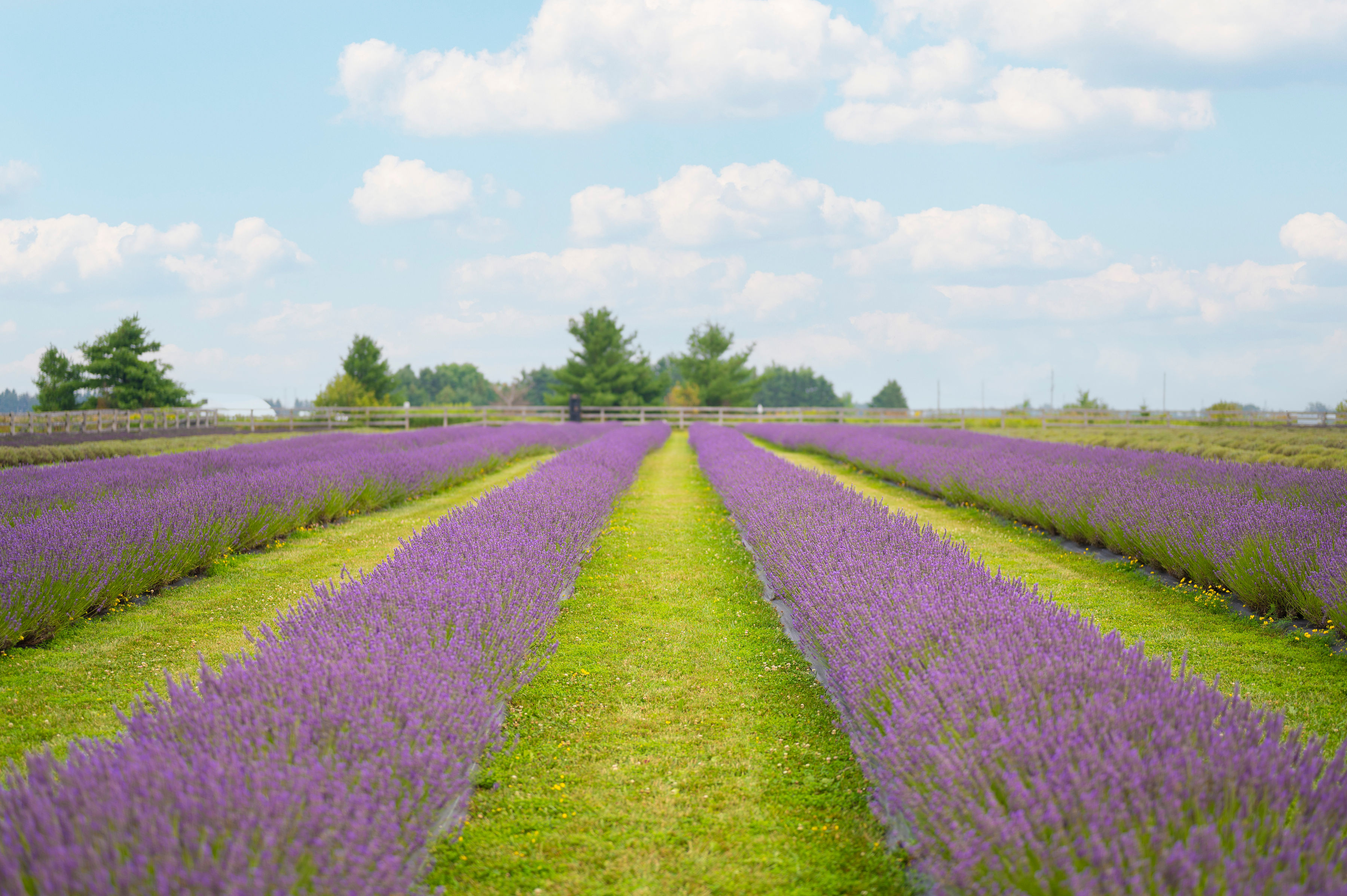 Why Hire a Professional Photographer for Your Business?