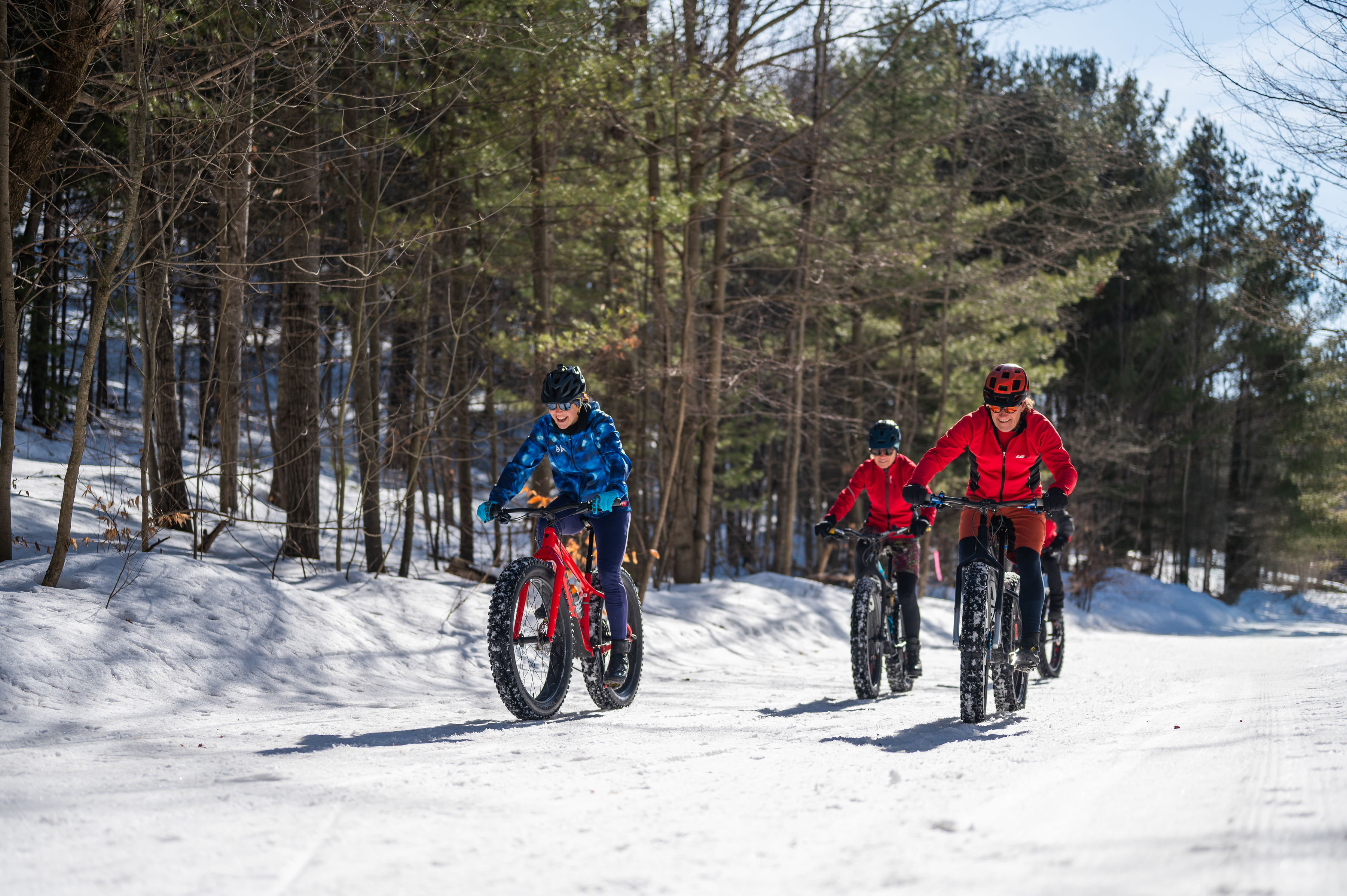 Three fat bikers ride along a snow-covered forest trail during winter in Dufferin County